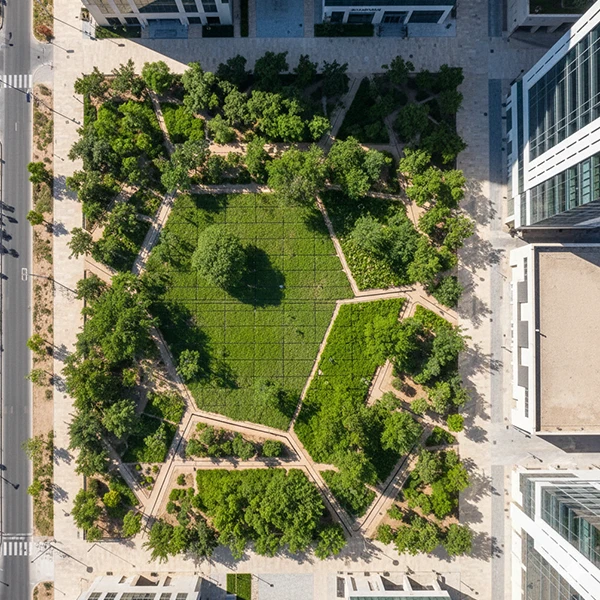 Water-Saving Landscape Concept