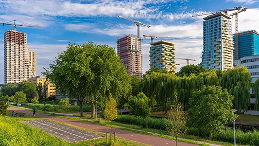 Sustainable Urban Transformation